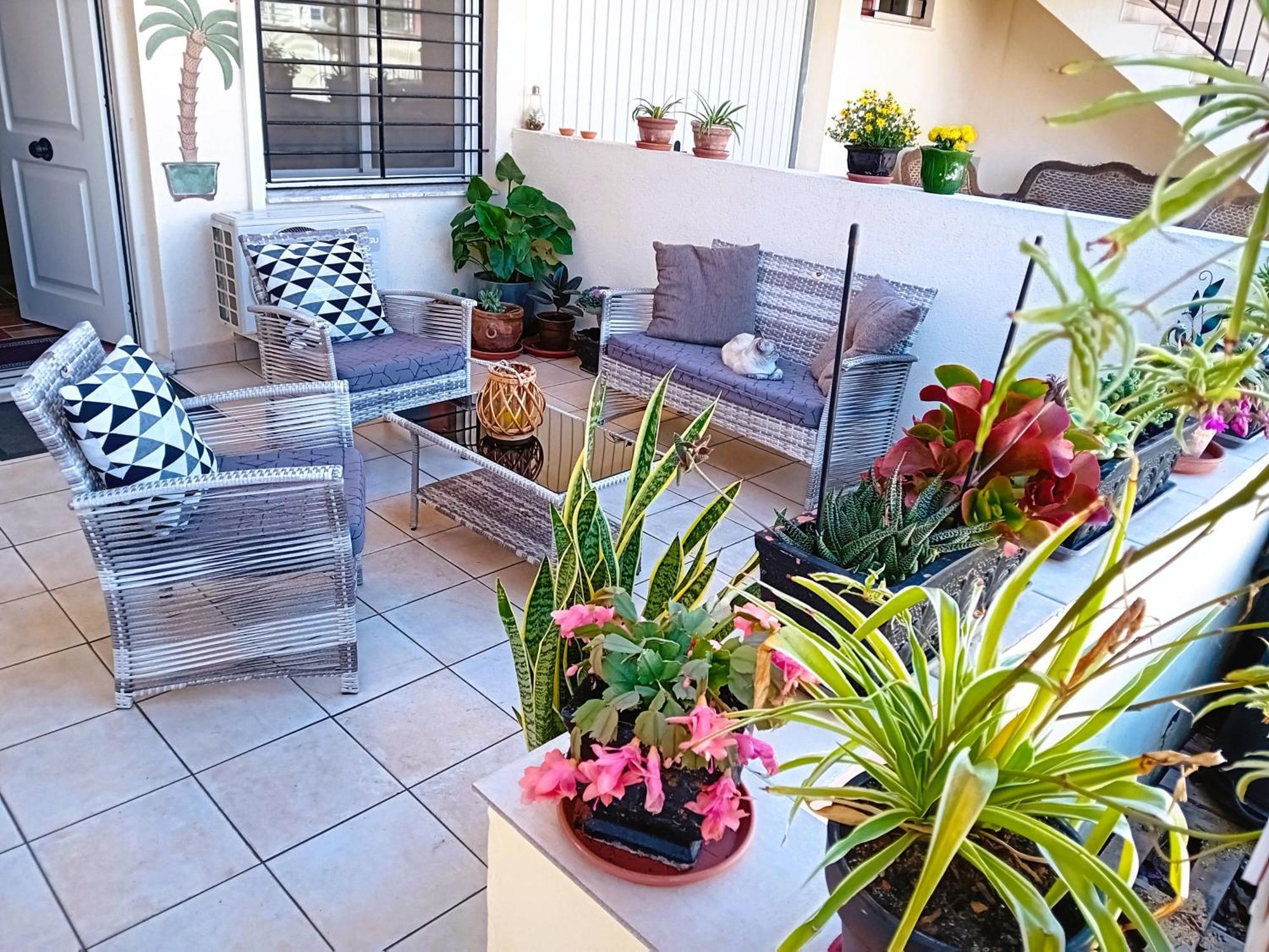 Casa Vikingo Holiday home *